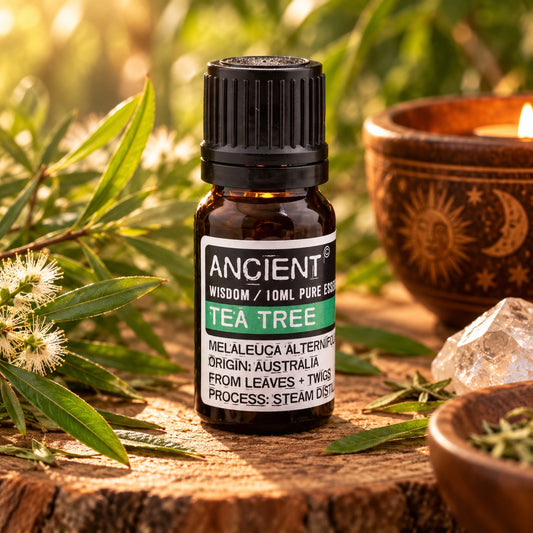 Tea Tree Essential Oil 10ml