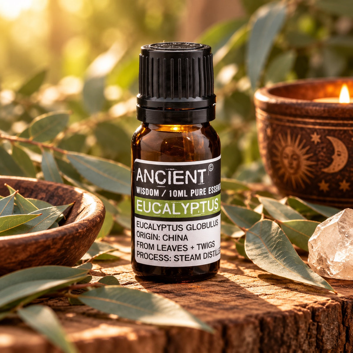 Eucalyptus Essential Oil 10ml