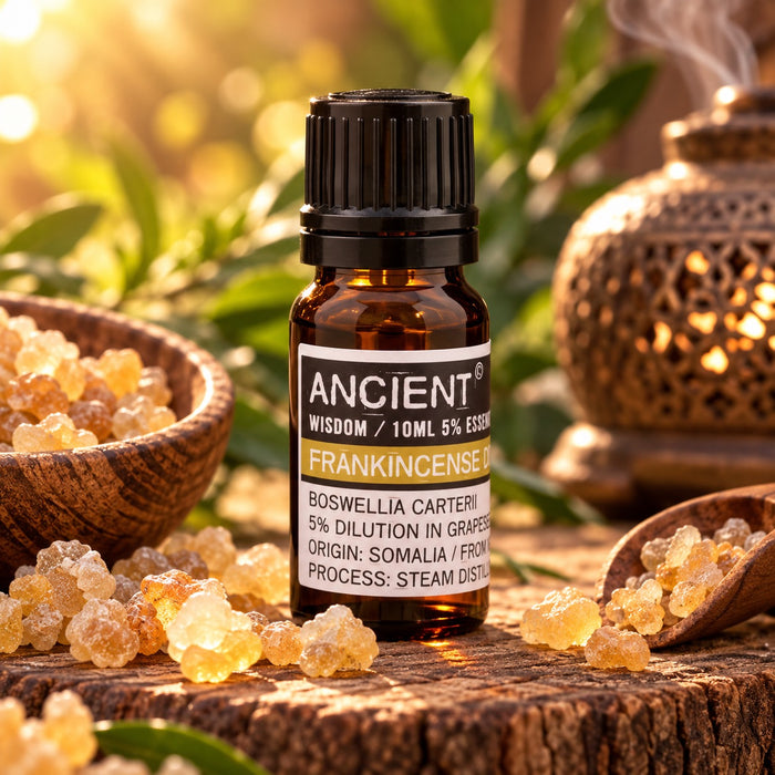Frankincense (Dilute) Essential Oil 10ml