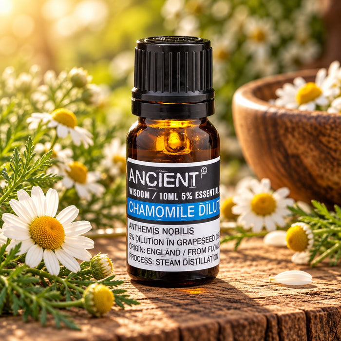 Chamomile Roman (Dilute) Essential Oil 10ml