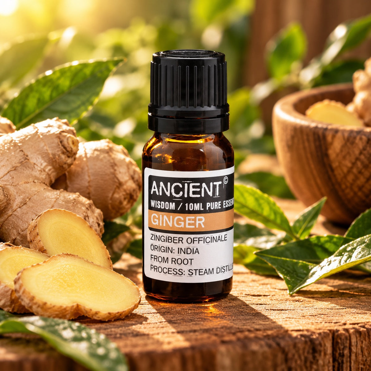 Ginger Essential Oil 10ml