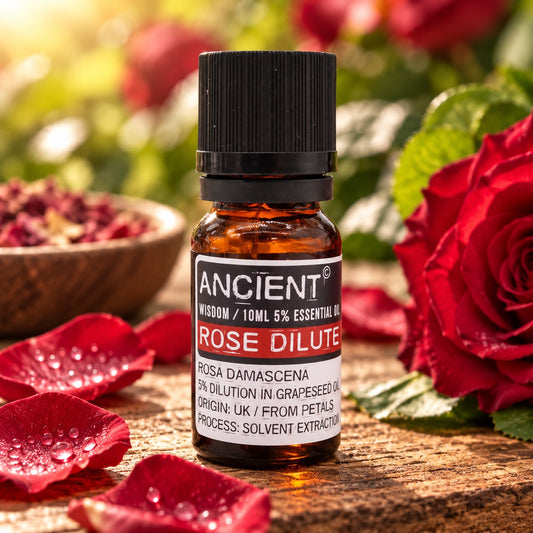 Rose Dilute Essential Oil 10ml