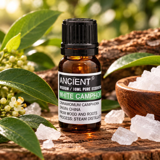 White Camphor Essential Oil 10ml