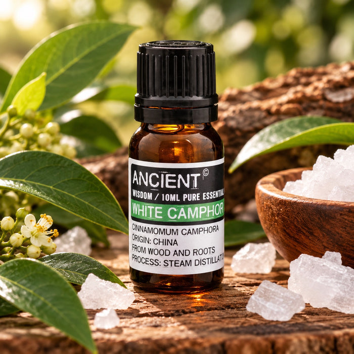 White Camphor Essential Oil 10ml