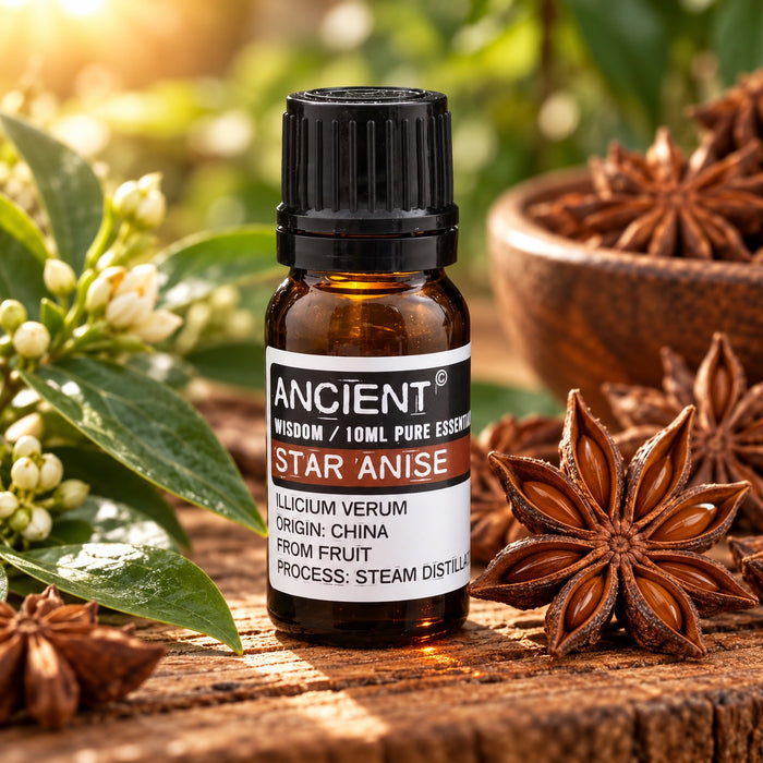 Aniseed China Star (Star Anise) Essential Oil 10ml