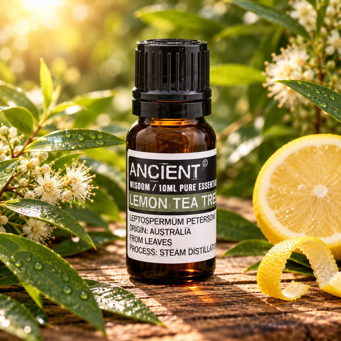 Lemon Tea Tree Essential Oil 10ml
