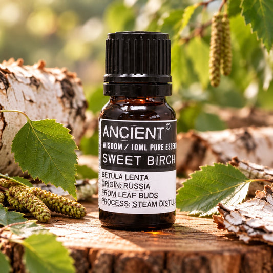 Sweet Birch Essential Oil 10ml